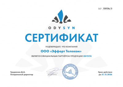 Официальный партнер Odysyn