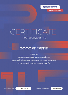 Авторизированный партнер Ippon